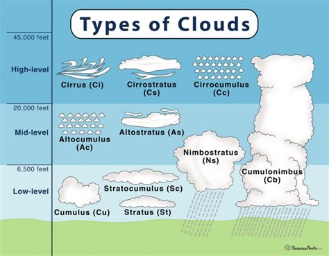 Types of Clouds: Their Formation & Meaning Explained with Diagram