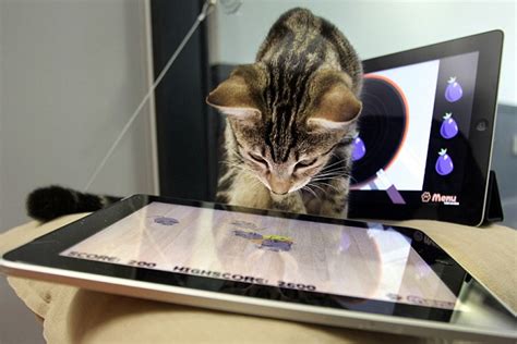 Mouse not included: The iPad app that lets cats play with virtual ball of yarn and protect ...