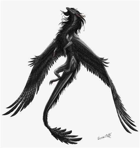 Feathered Mist By Sunimo-d4t0gk8 - Dragon With Feather Wings Transparent PNG - 888x899 - Free ...