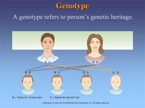 PPT - Chapter 6 Biological Factors PowerPoint Presentation, free ...