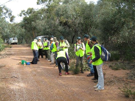 Wedderburn Conservation Management Network News: Malleefowl Mound Line Searches