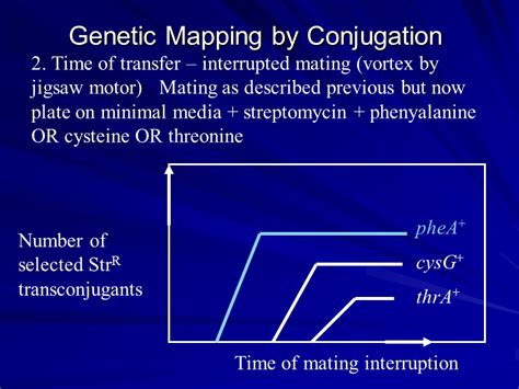 Gene Exchange/Gene Mapping Techniques in Bacteria Transformation