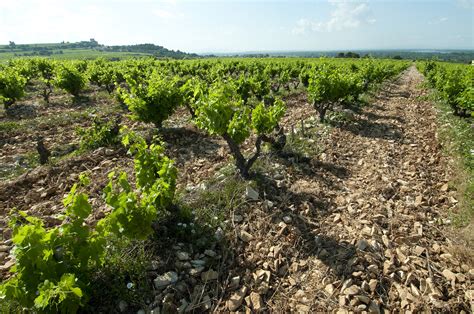 Rhône: Côtes du Rhône Villages