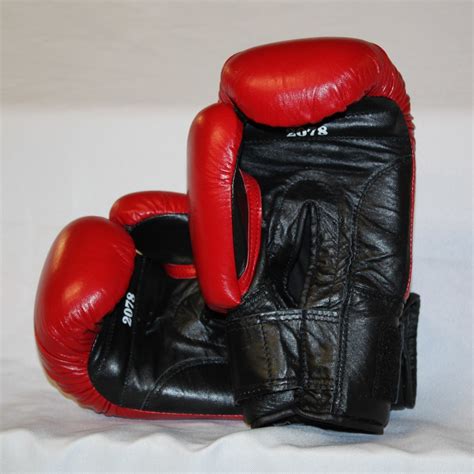 EVERLAST Boxing TRAINING GLOVES 8 oz leather - red - Hollywood Filane