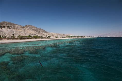 Coral Reef in the Gulf of Eilat Stock Photo - Image of diving, exotic: 125591582