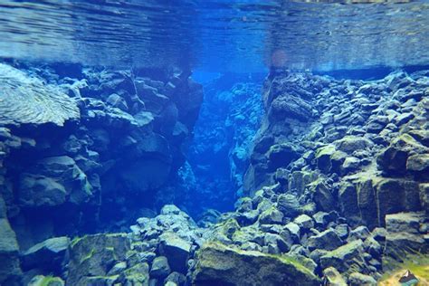 Iceland's Silfra Fissure | Diving & Snorkeling | Arctic Adventures