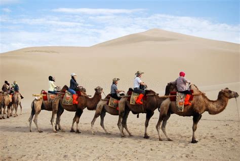 Camel Caravan in the Desert Editorial Stock Photo - Image of empty ...