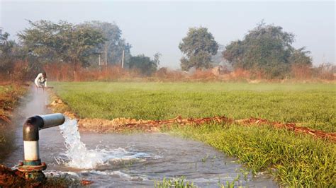 Narendra Modi government exploring new ways to curb farm water use | Latest News India ...