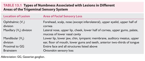 Numb Lower Lip And Jaw | Sitelip.org