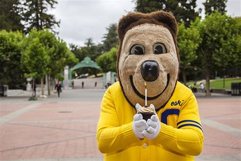 Birthday Bear: Iconic Oski turns 75 | Berkeley