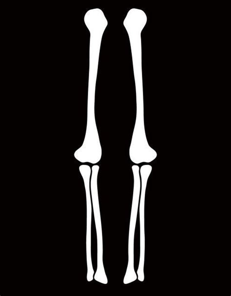 Image result for skeleton legs template costume | Skeleton arm, Bleach ...