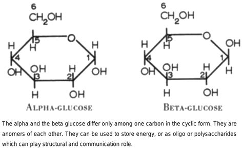 The difference between alpha and beta glucose