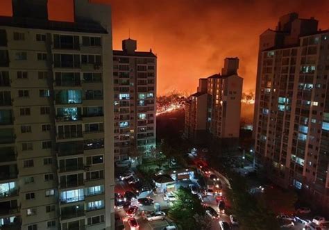 South Korea Wildfire – “National Emergency” – Thousands Evacuated ...