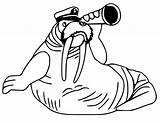 Walrus And Flowers Coloring Page  Free Printable Pages For Kids sketch template