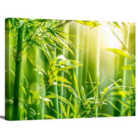 Bamboo Forest in the Morning Sunlight Sunrise Nature Floral & Botanical Photography Wrapped ...