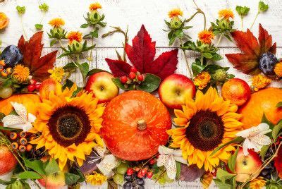 Pumpkins, Fruits and Fall Leaves Puzzle