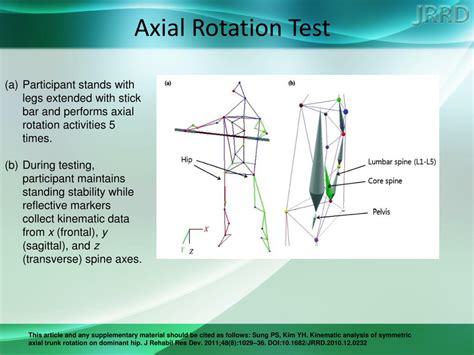 PPT - Kinematic analysis of symmetric axial trunk rotation on dominant ...