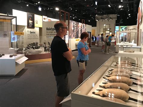 Visit The Field Museum of Natural History in Chicago's Grant Park