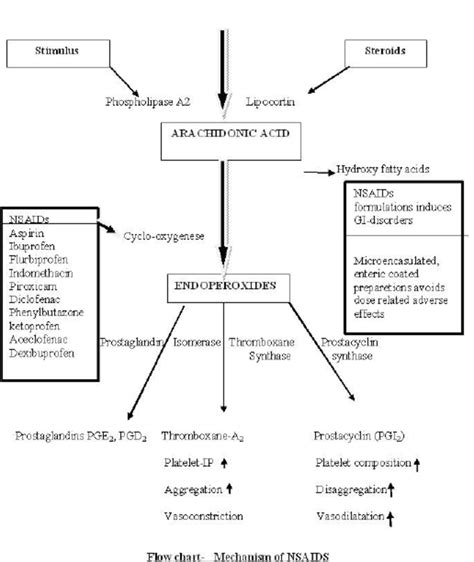 Mechanism Of Pain Flowchart