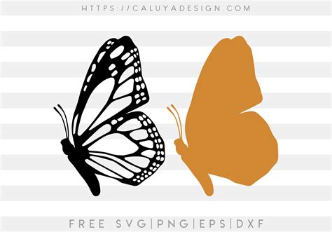 Free Layered Butterfly SVG - CALUYA DESIGN