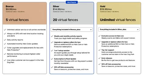 Halo Vs Tractive GPS Dog Collar - Detailed Video Guide