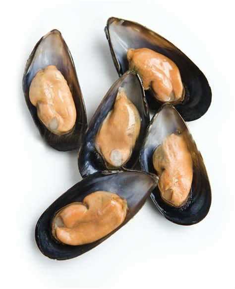 Frozen half shell mussel in high quality - China shell mussel - Exportimes