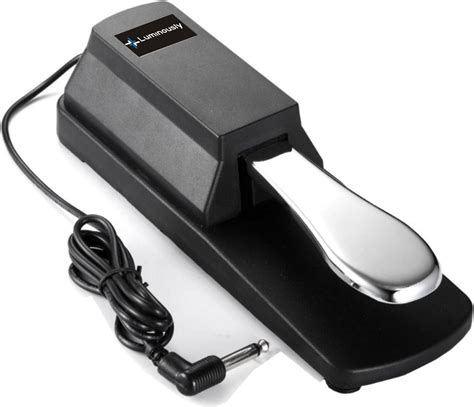 Luminously Universal Electric Sustain Pedal for Keyboard Perfect for ...