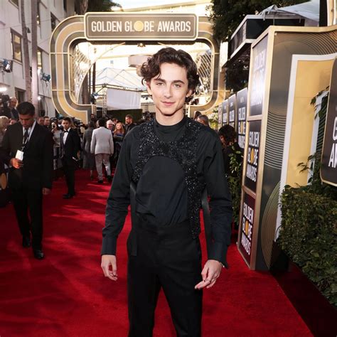 Timothée Chalamet Golden Globes 2019 Outfit | Marie Claire