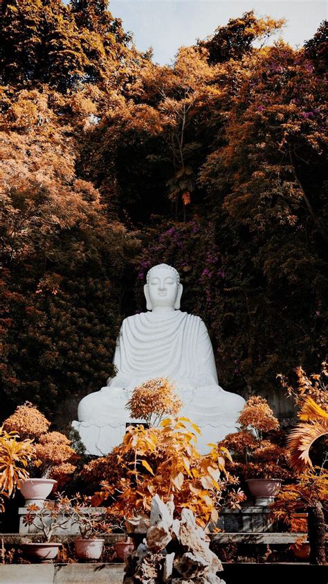 Buddha iPhone Wallpapers - Top Free Buddha iPhone Backgrounds - WallpaperAccess