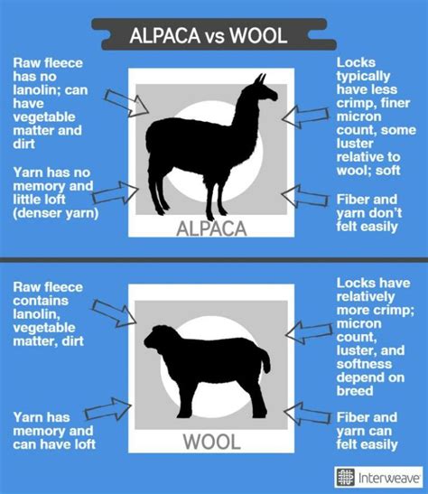 Yarn from Jack’s Back: Spinning Alpaca Yarn | Alpaca yarn, Alpaca, Spinning yarn