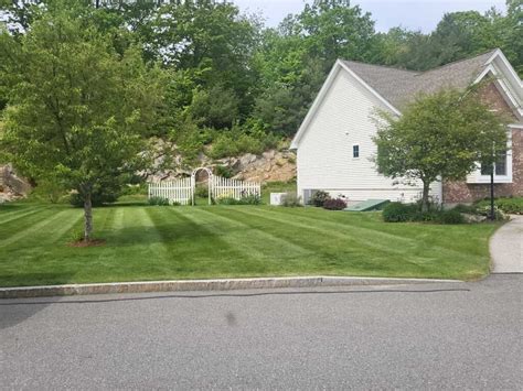 Lawn Care Service Near Me - E&D LANDSCAPING LLC