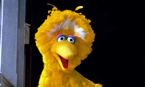 Is Big Bird A Muppet Or A Puppet? The Big Debate