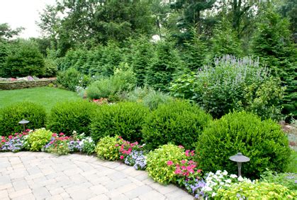 Pictures of Shrubs for Landscaping 2016 Design Plans