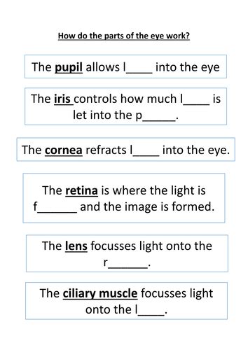 Parts of the Eye Worksheet | Teaching Resources