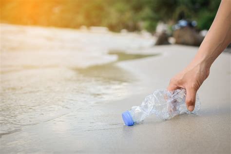 How to Help the Coast During Clean Beaches Week - Mariners General Insurance Group