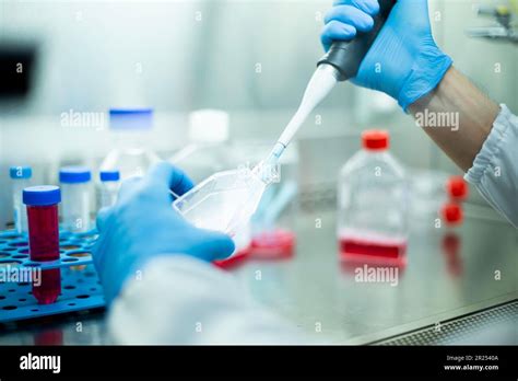 cell culture media Stock Photo - Alamy