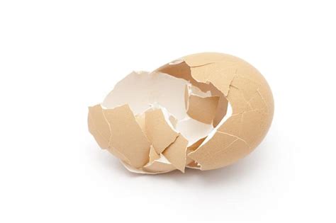 Free image of Broken Egg Shell