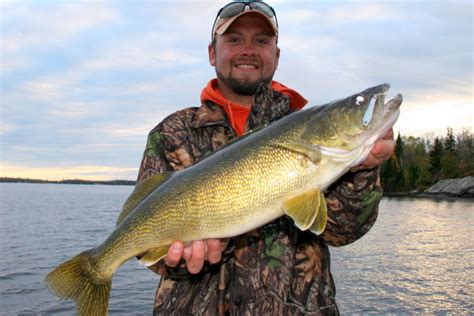 Ontario Hunting | Tips & Techniques - Walleye Fishing