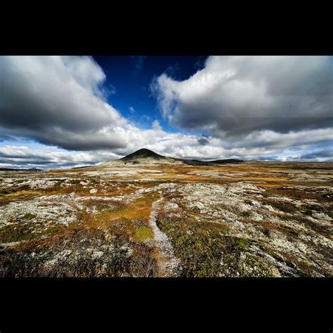 Rondane National Park | Took a long drive yesterday to Ronda… | Flickr