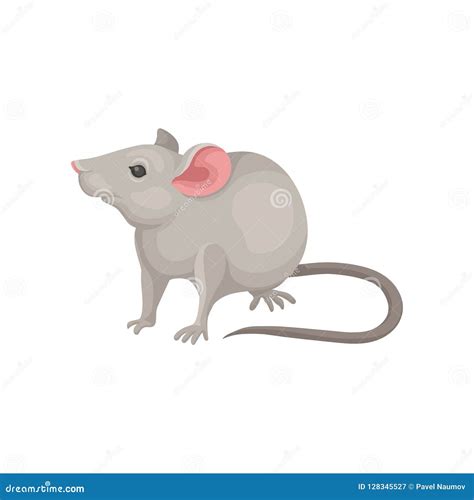 Flat Vector Icon of Mouse. Rodent with Pointed Snout, Large Pink Ears and Long Tail. Small Gray ...