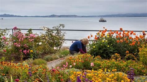 Lost in time: Alcatraz Island - RTF | Rethinking The Future