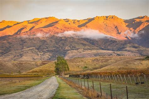 visit central otago | Otago, Central otago, New zealand