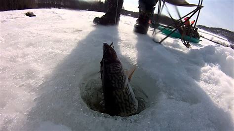 Ion Air Pro Doing some Pickerel Ice Fishing on High Point Lake in Pennsylvania - YouTube