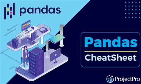 Your Go-To Pandas CheatSheet for Efficient Data Processing