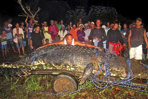 Killer croc Lolong is officially the largest in captivity | The Times