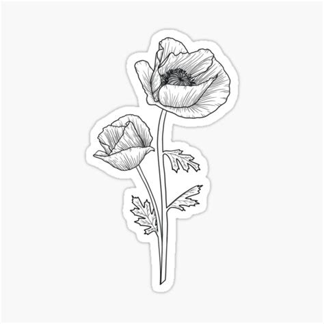 "Poppy Fine Line Drawing" Sticker for Sale by BluebellPainter | Redbubble