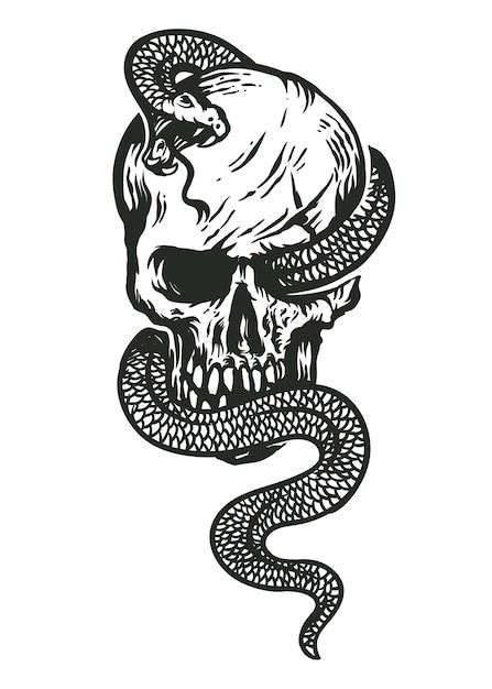 Arte de ilustración en blanco y negro de serpiente y calavera | Vector ...