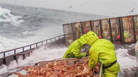 Crabbers seek solutions as harvest closures impact business | king5.com