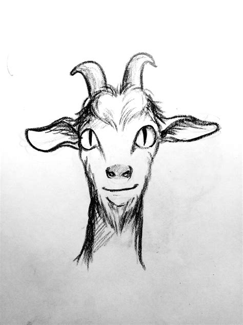 Details 84+ cute goat sketch - seven.edu.vn