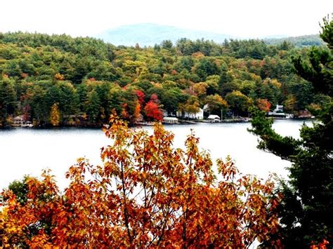 Designs for Daley Living: Fall Foliage in New Hampshire's Lake Winnipesaukee Region